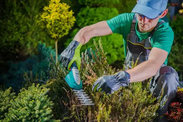 landscaping services Marion